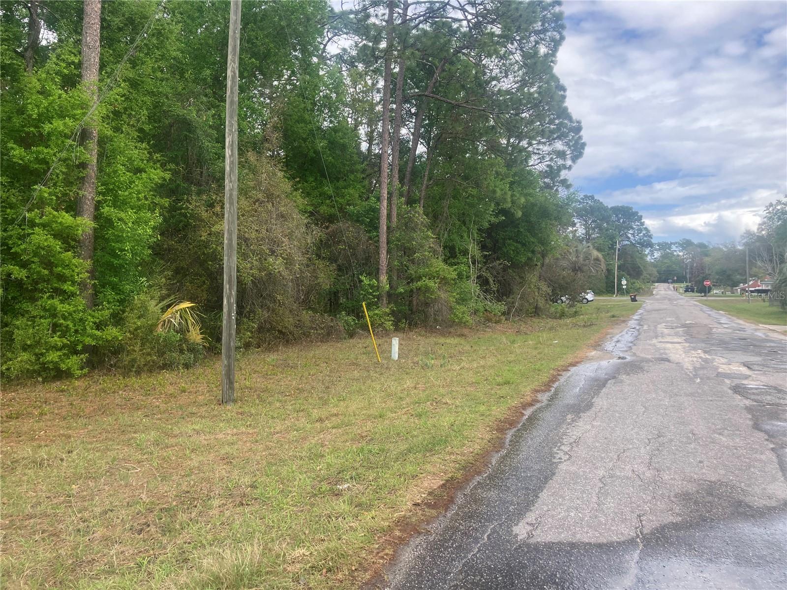 SE 19th Place SE 19TH PLACE, SILVER SPRINGS, FL — photo 11