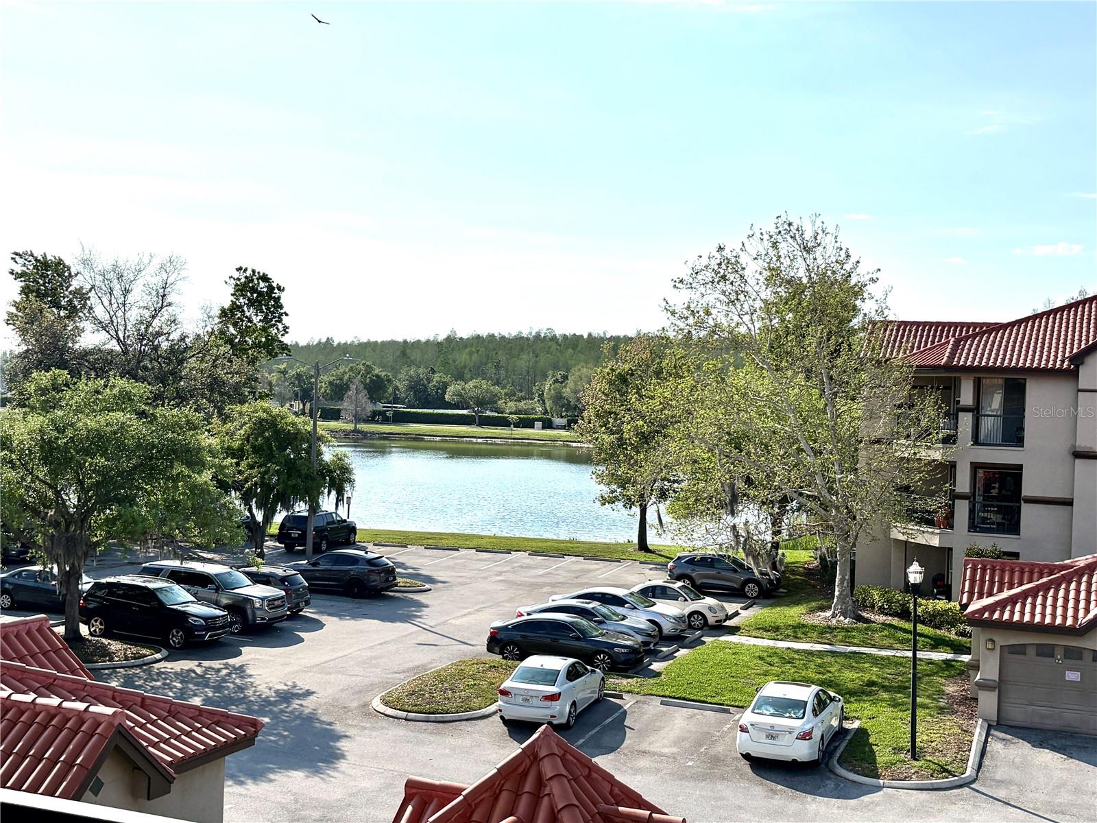 18107 PEREGRINES PERCH PL #6303, LUTZ, FL — photo 22