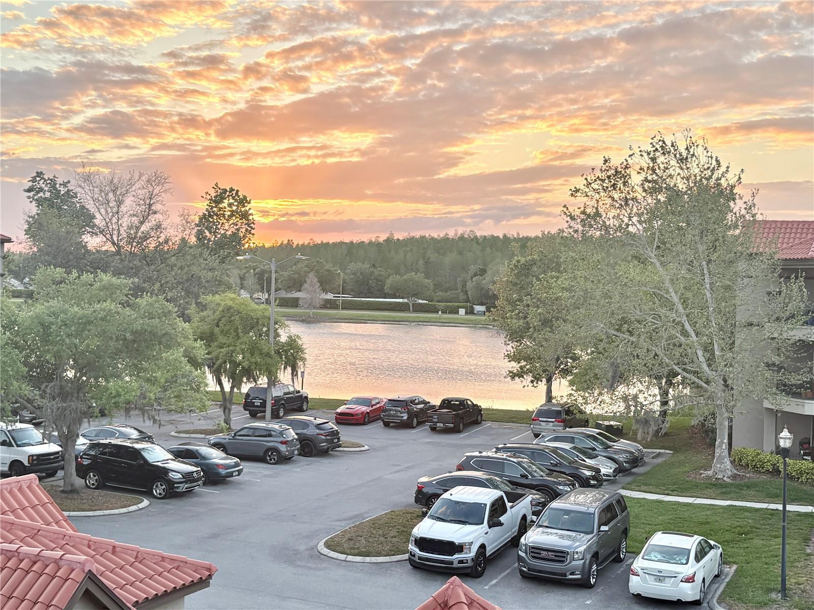 18107 PEREGRINES PERCH PL #6303, LUTZ, FL — photo 23