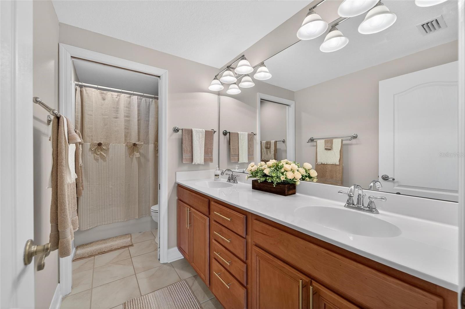 20053 HERITAGE POINT DR, TAMPA, FL — photo 36