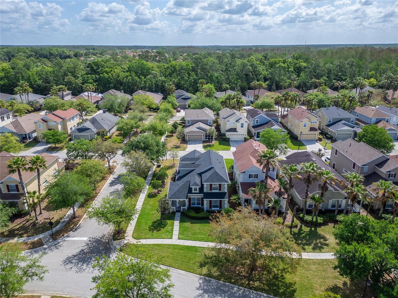20053 HERITAGE POINT DR, TAMPA, FL — photo 47