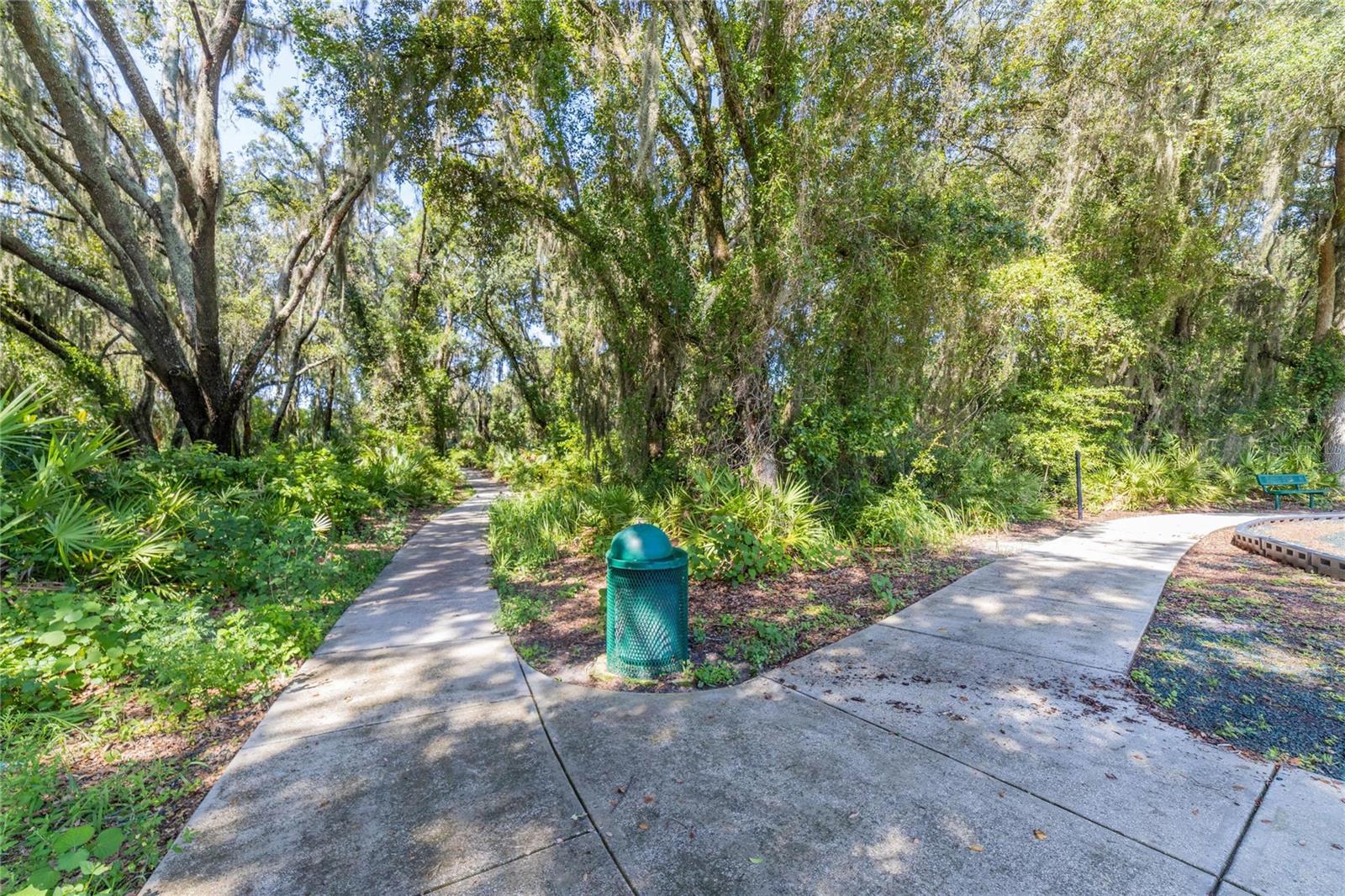 20053 HERITAGE POINT DR, TAMPA, FL — photo 53