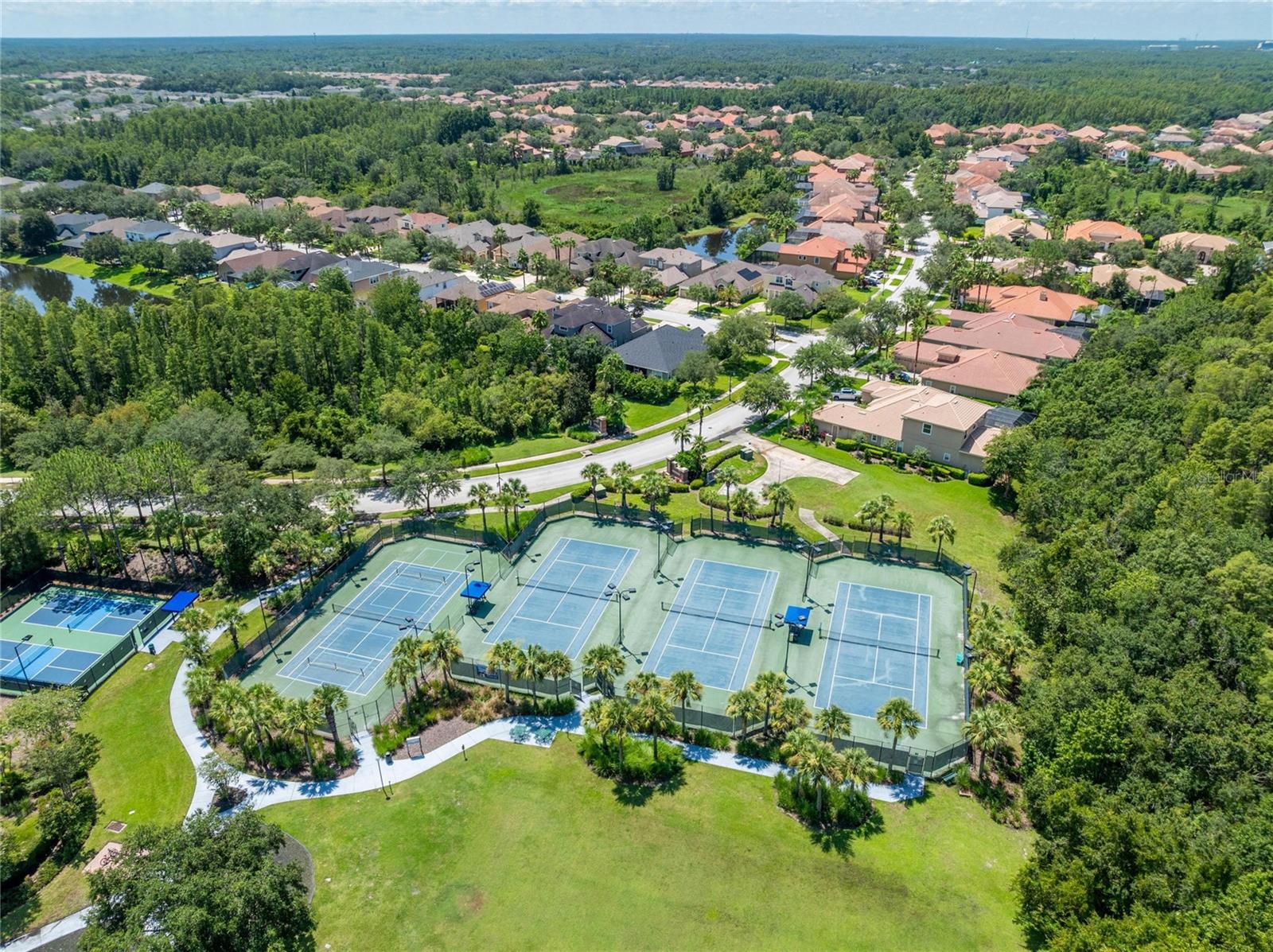 20053 HERITAGE POINT DR, TAMPA, FL — photo 59