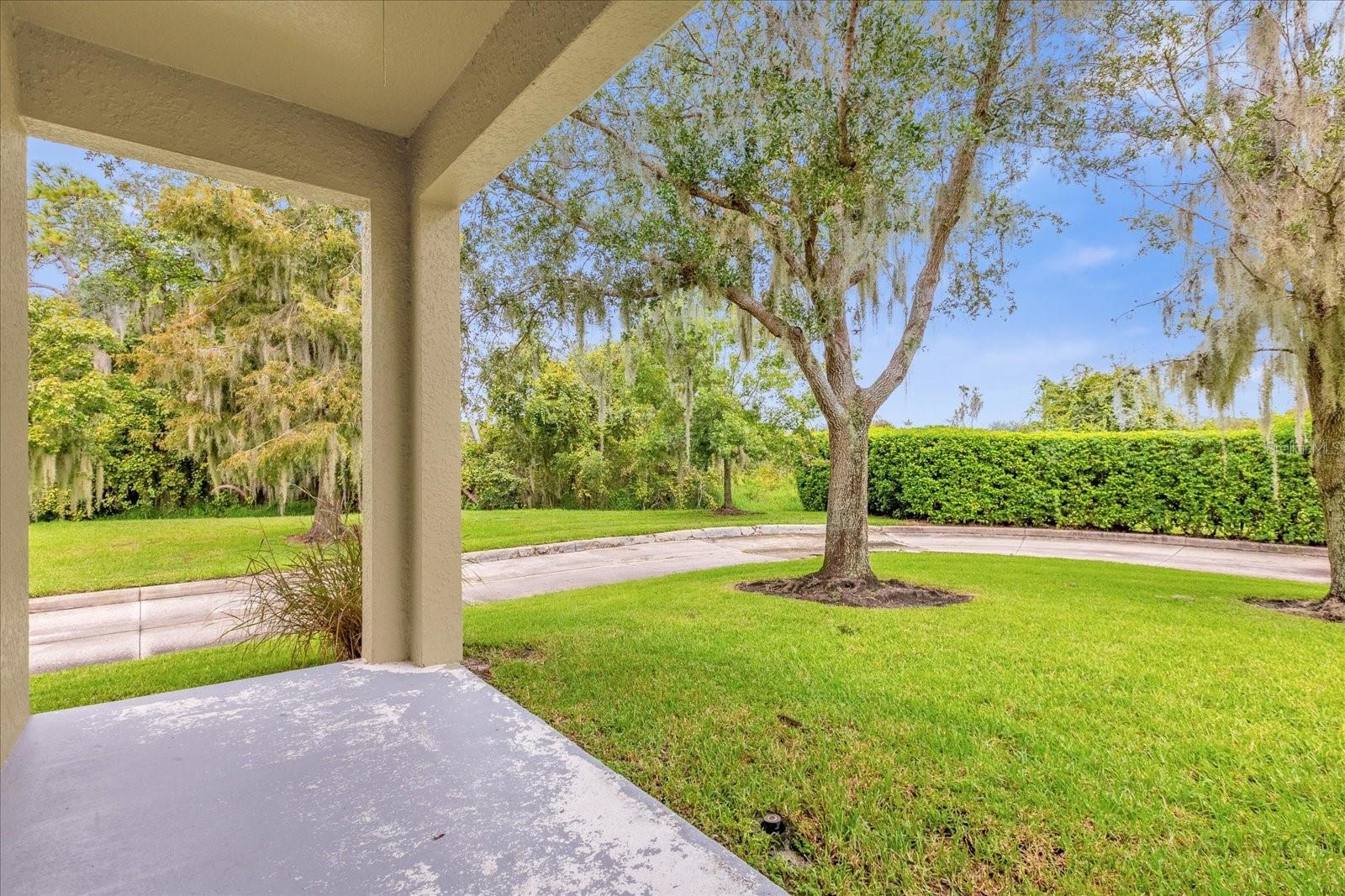 14217  BRIDGEWATER CROSSINGS BLVD, WINDERMERE, FL — photo 30
