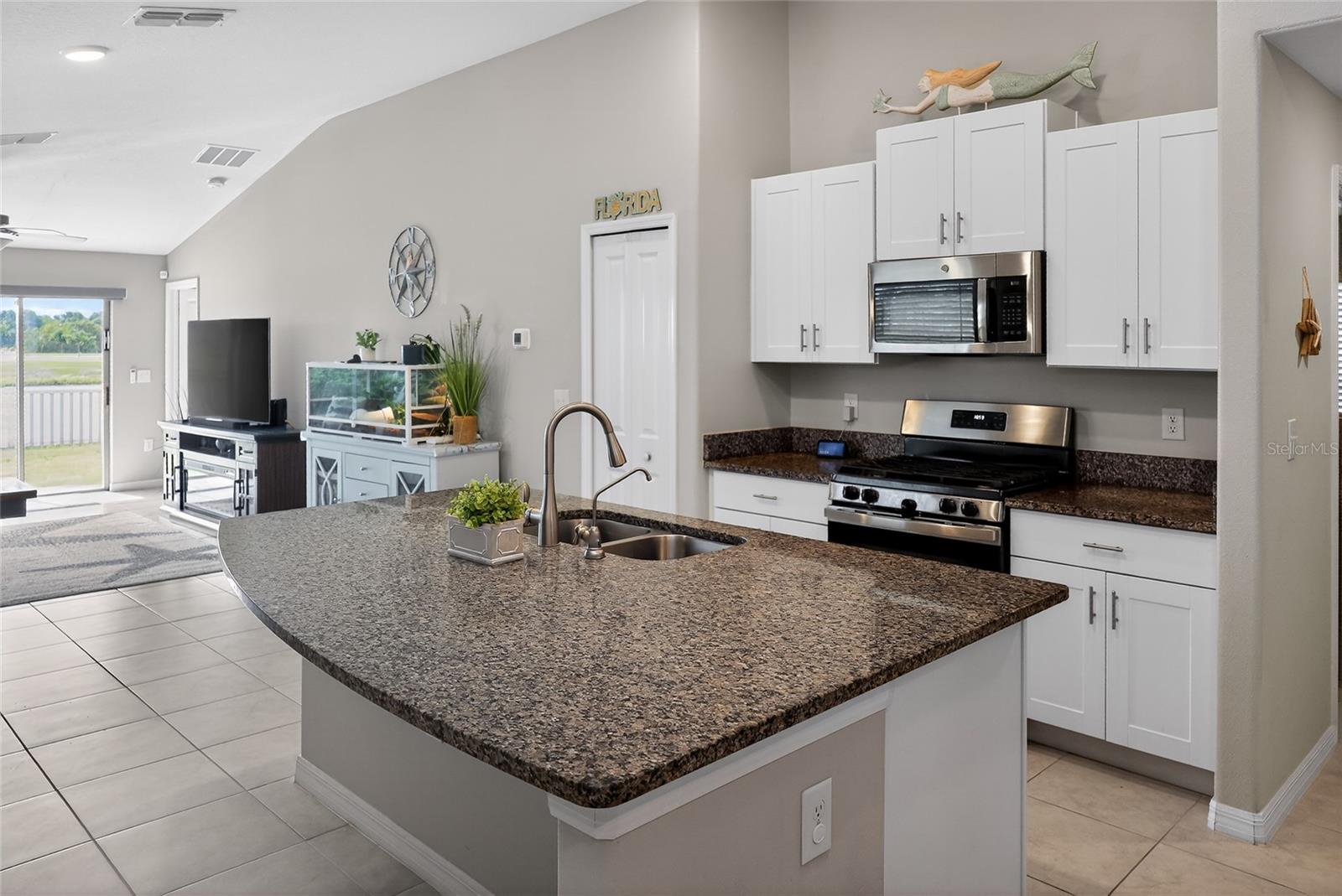 14441 TOUCH GOLD LN, SUN CITY CENTER, FL — photo 7