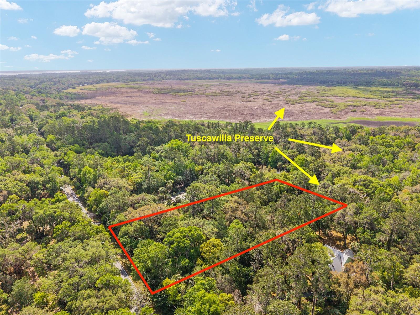 227 SE TUSCAWILLA RD, MICANOPY, FL — photo 2