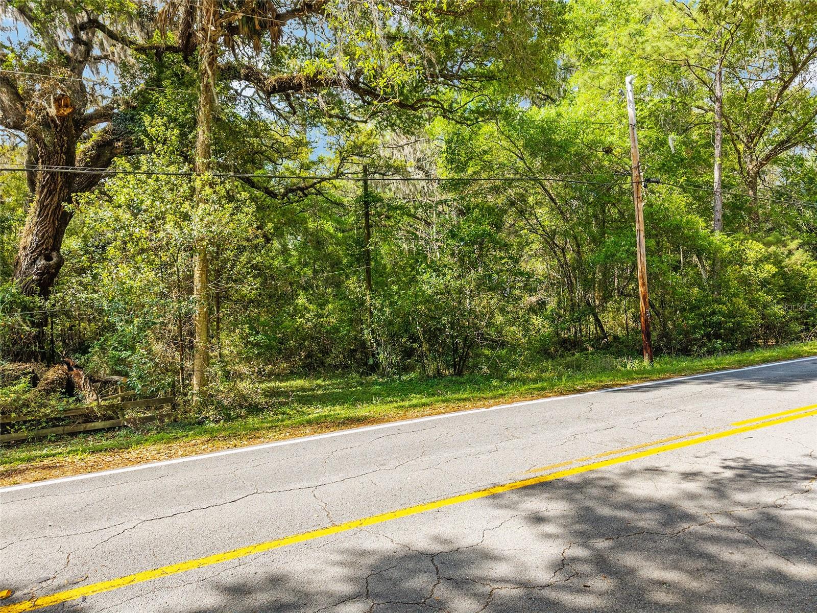 227 SE TUSCAWILLA RD, MICANOPY, FL — photo 4