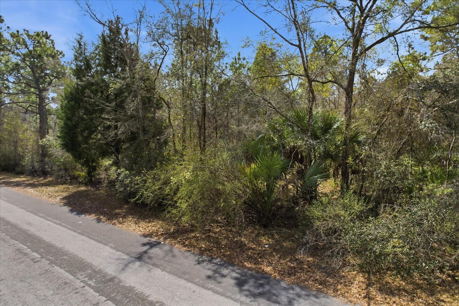 9568 N DAWNFLOWER AVE, CRYSTAL RIVER, FL — photo 2