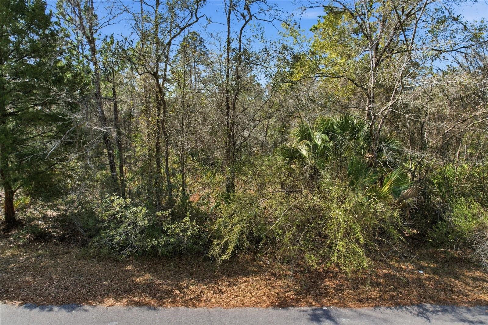 9568 N DAWNFLOWER AVE, CRYSTAL RIVER, FL — photo 5
