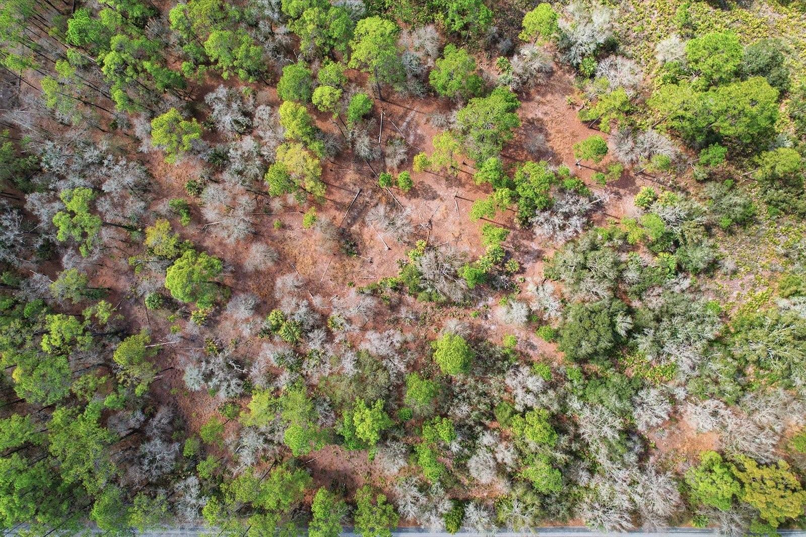 9568 N DAWNFLOWER AVE, CRYSTAL RIVER, FL — photo 13
