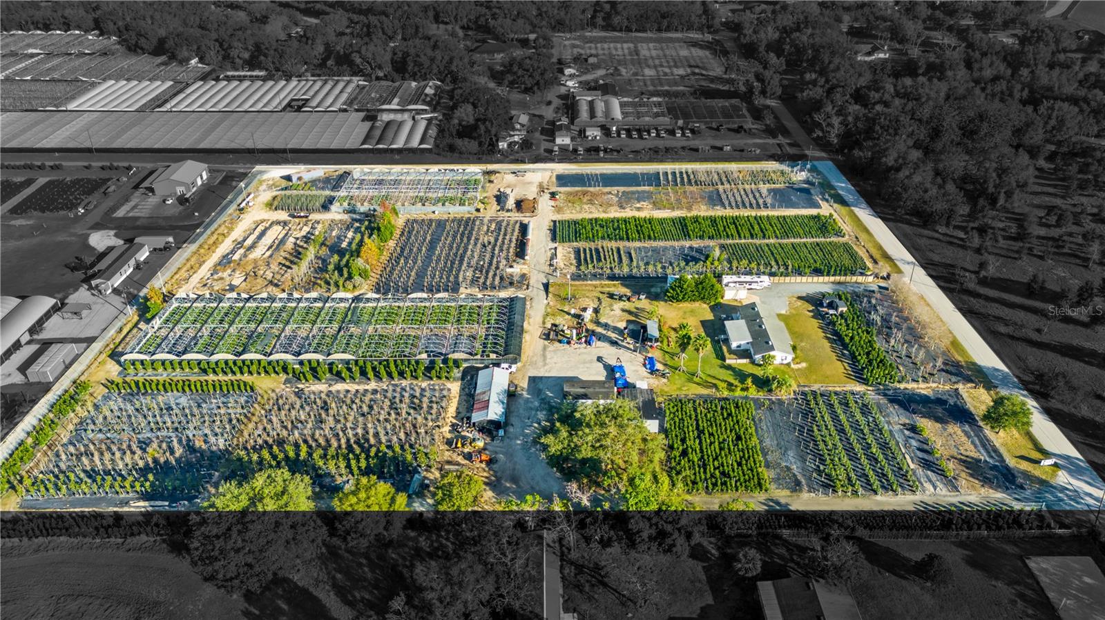 4004 REX DR, WINTER GARDEN, FL