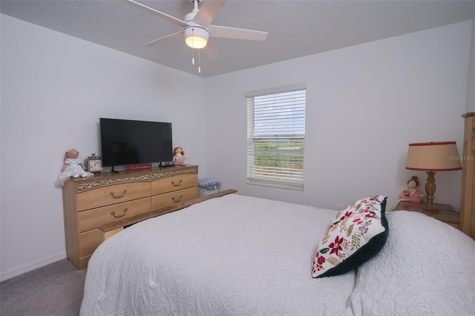 10059 TRUMPET HONEYSUCKLE WAY, SAN ANTONIO, FL — photo 29