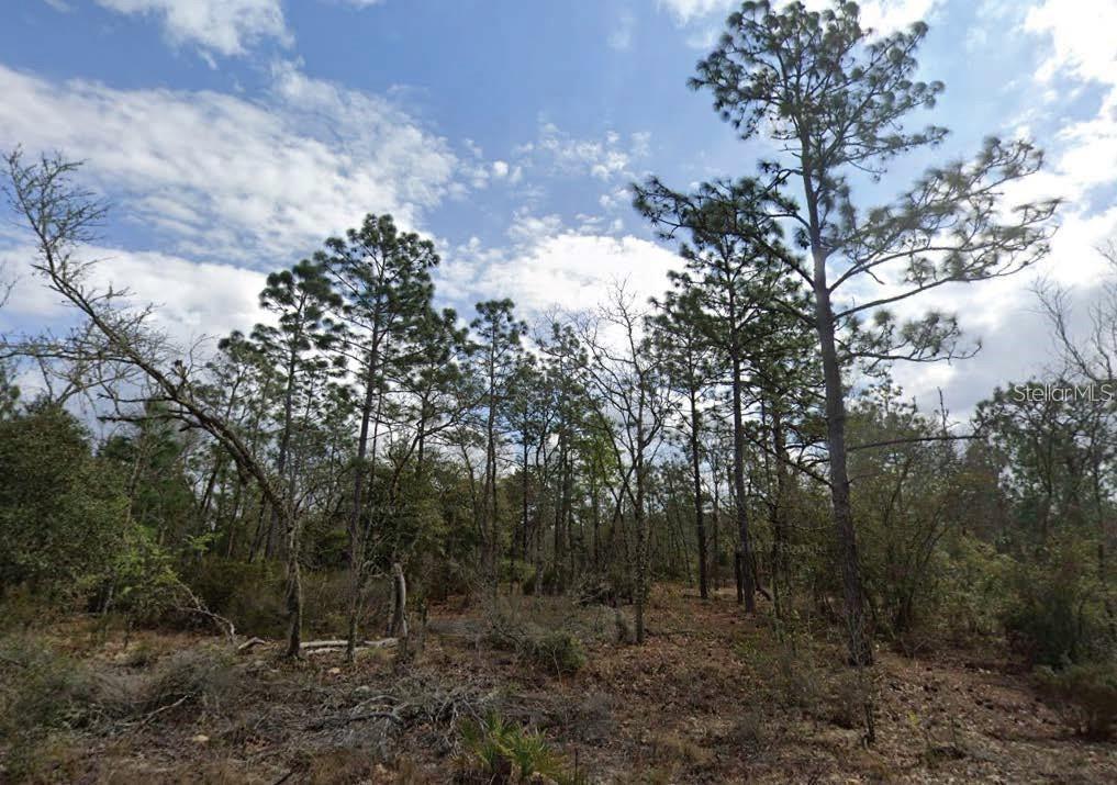 PARK ST, INTERLACHEN, FL