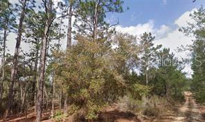 AKRON ST, INTERLACHEN, FL