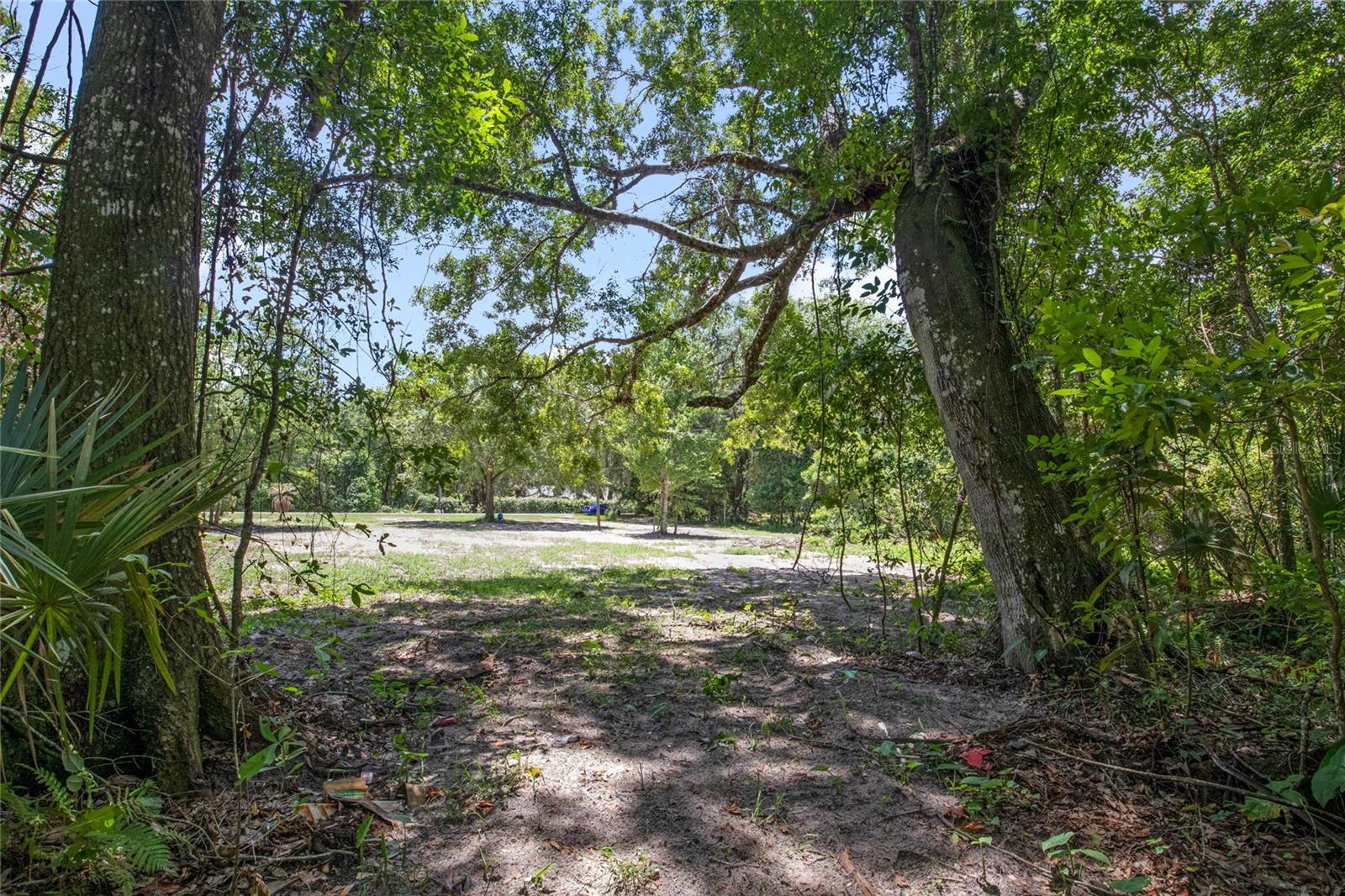 15527 TROUSDALE ST, CLERMONT, FL — photo 5