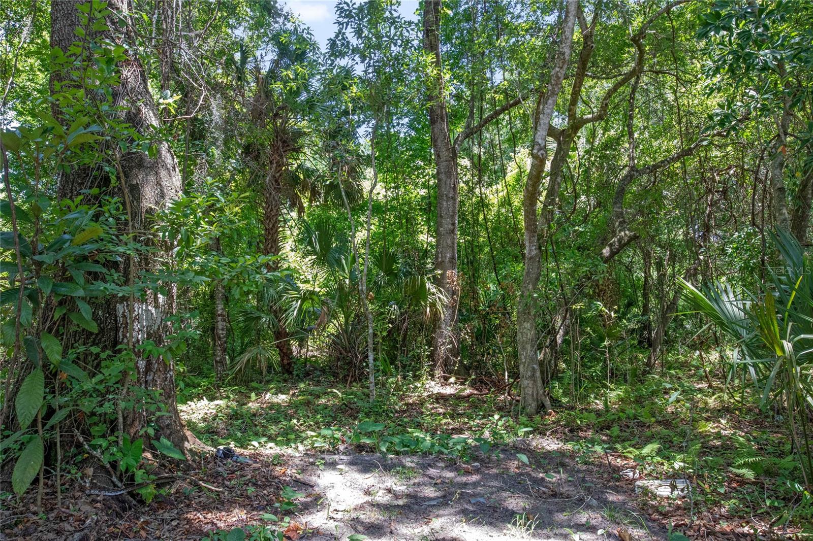 15527 TROUSDALE ST, CLERMONT, FL — photo 26