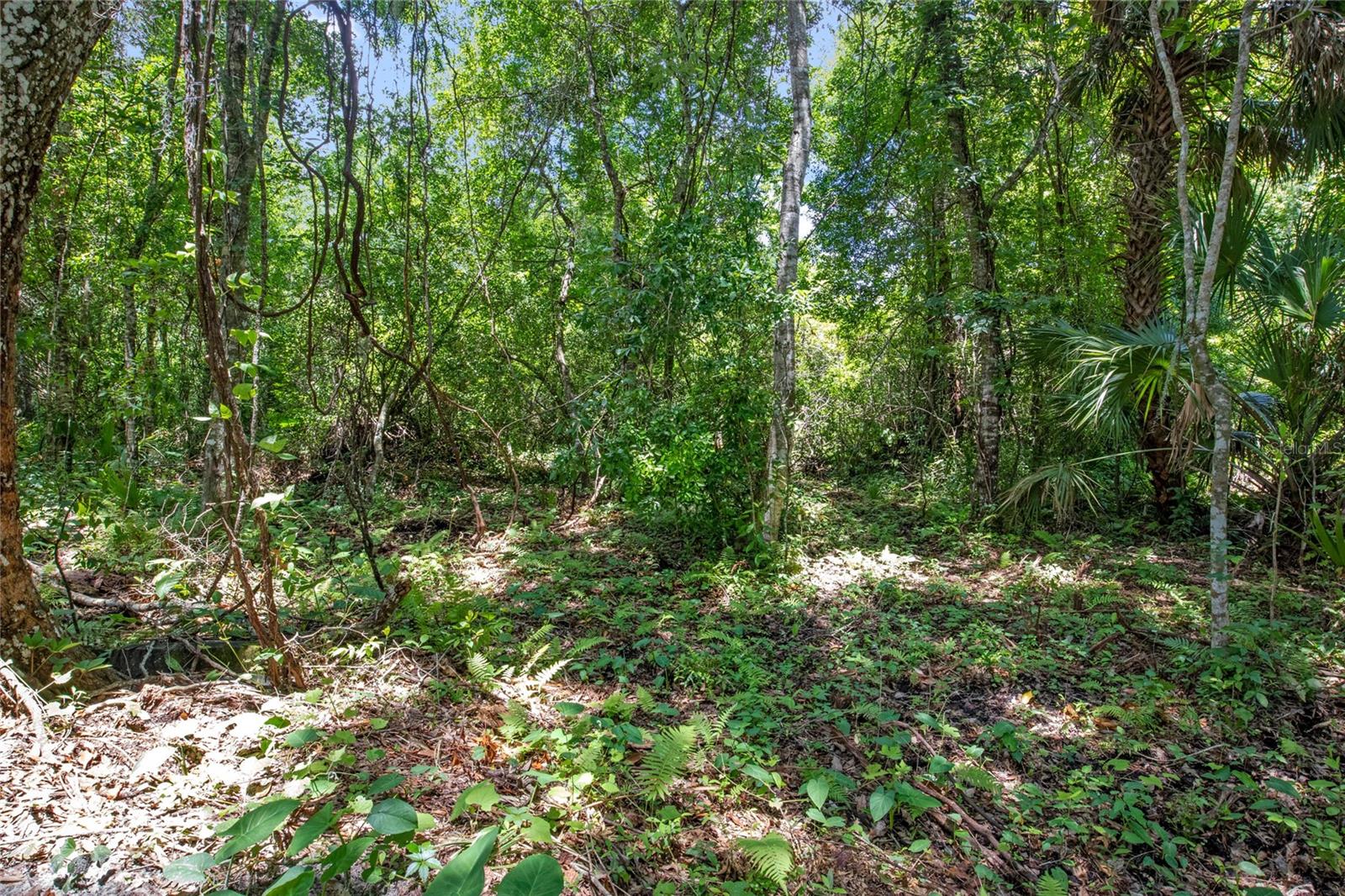 15527 TROUSDALE ST, CLERMONT, FL — photo 27