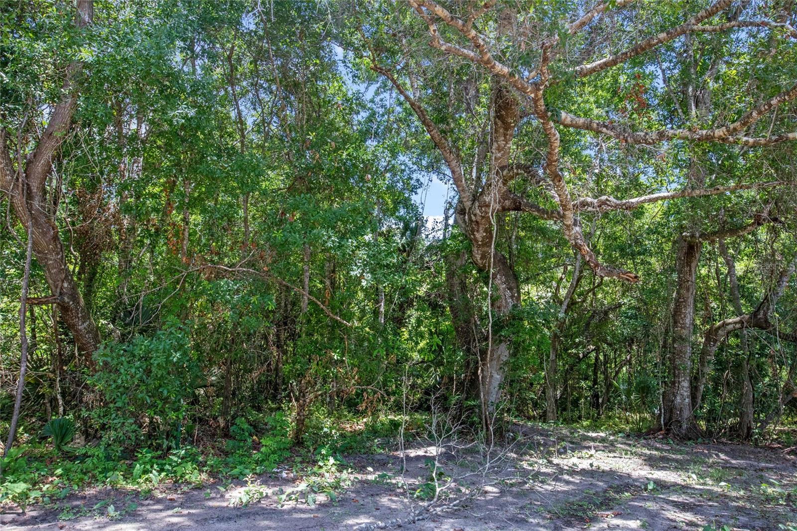 15527 TROUSDALE ST, CLERMONT, FL — photo 80