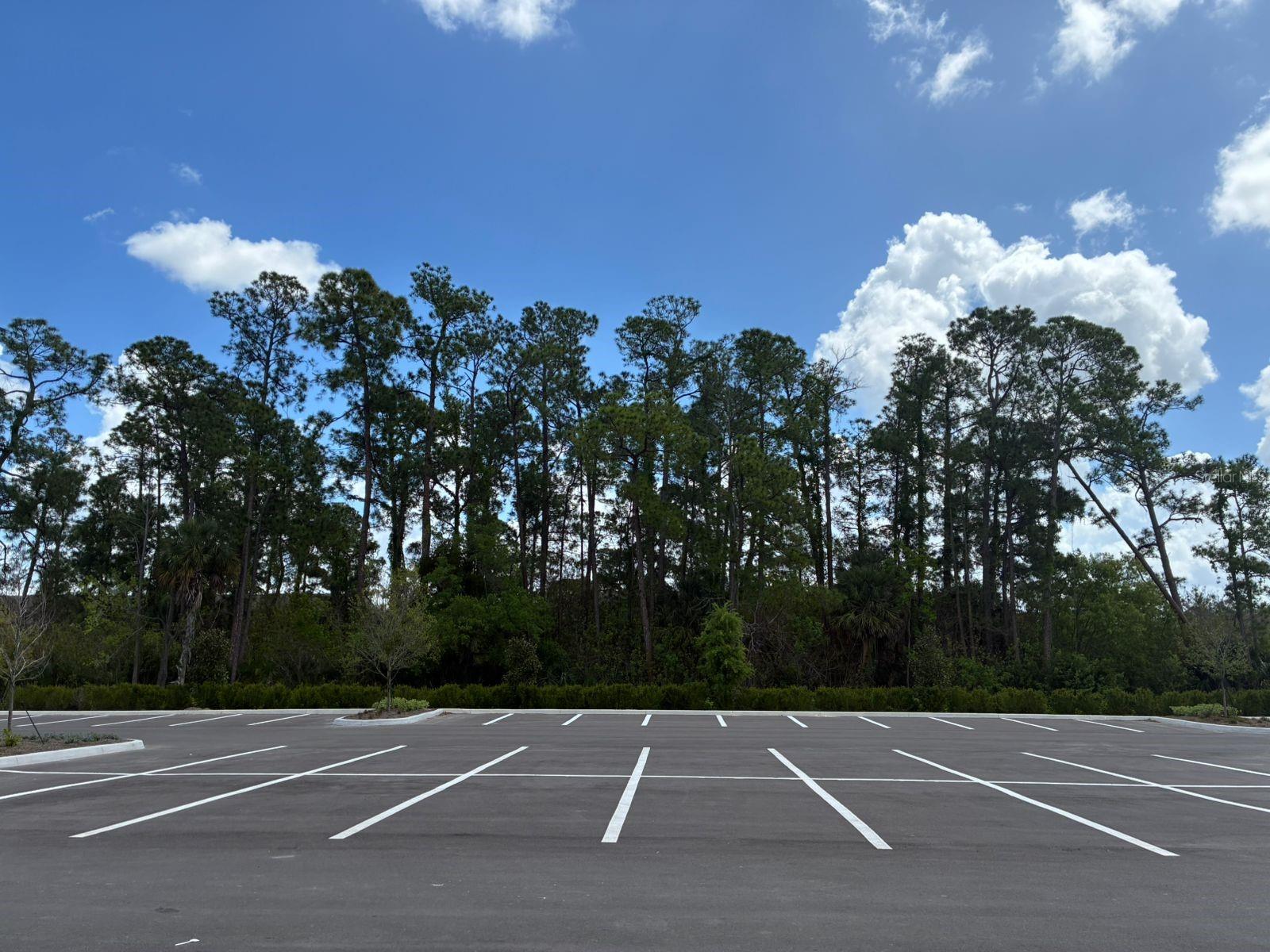 5587 MILLENIA PARK BLVD #318, ORLANDO, FL — photo 6