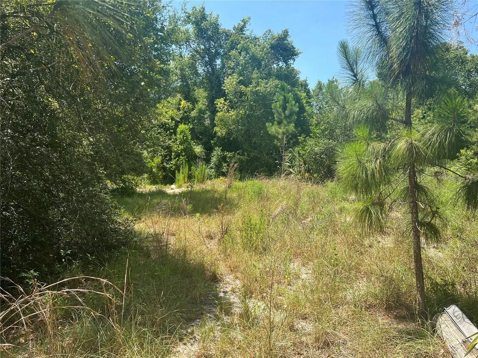 40314 LIME ST, EUSTIS, FL — photo 2