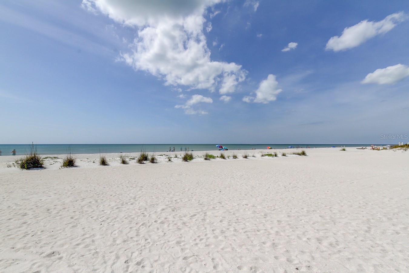 317 12TH AVE, INDIAN ROCKS BEACH, FL — photo 16