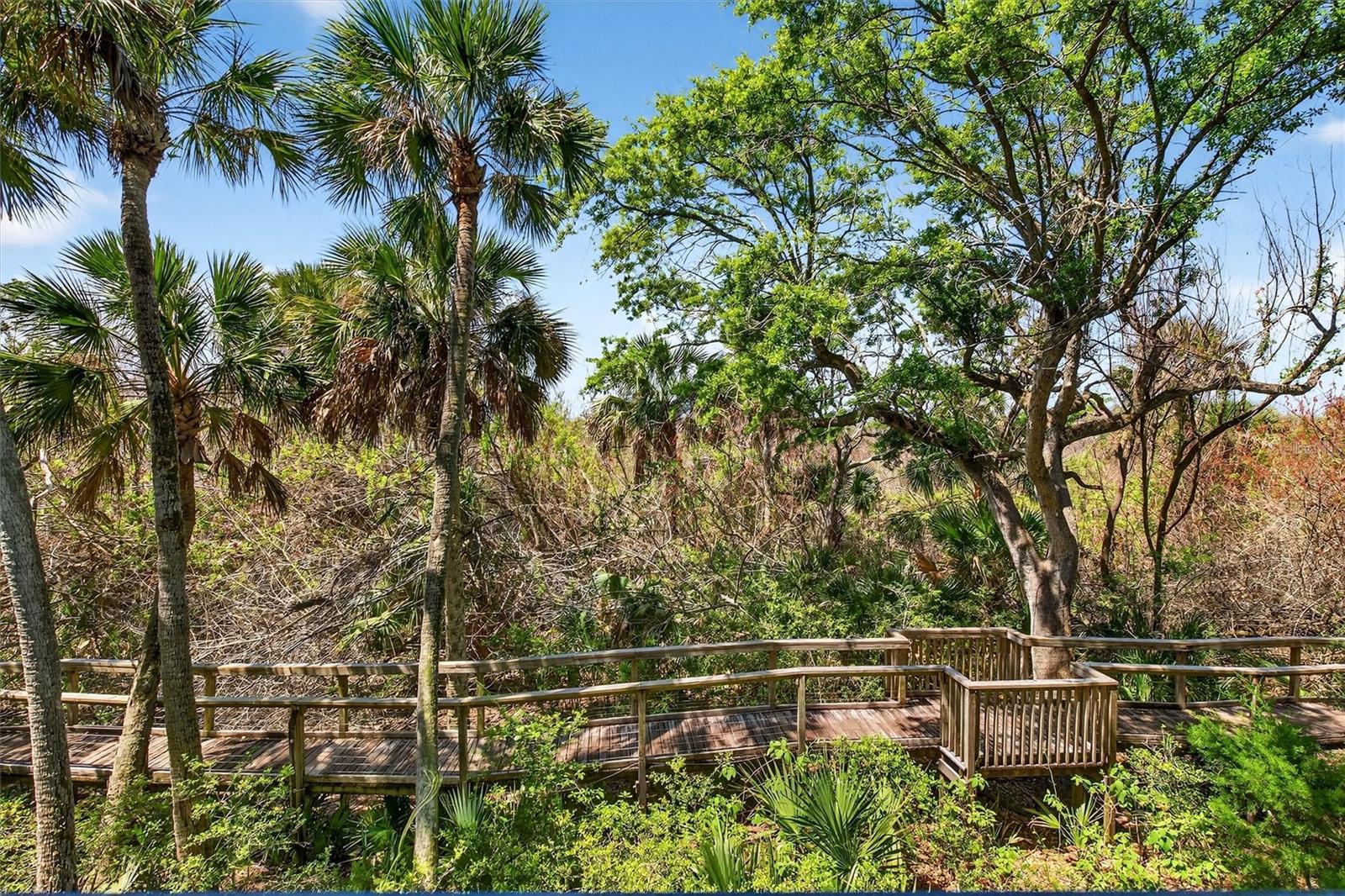 5300 S ATLANTIC AVE #9-204, NEW SMYRNA BEACH, FL — photo 32