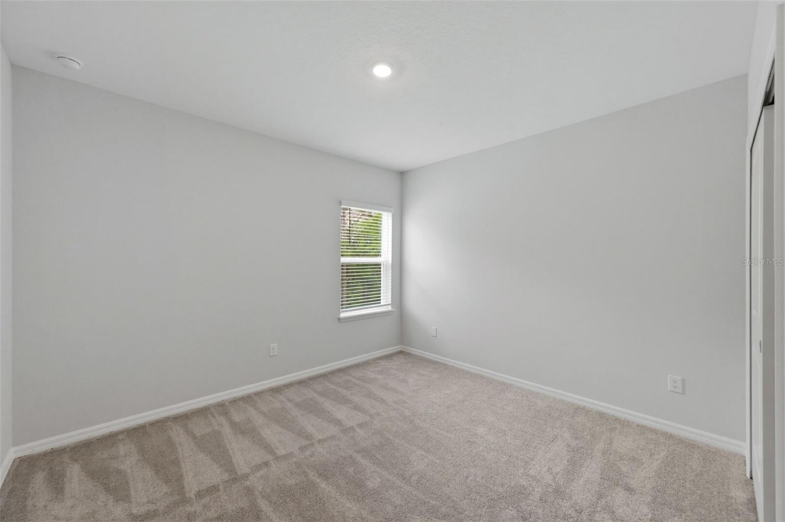 1645 TRAILHEAD LN, ZEPHYRHILLS, FL — photo 49