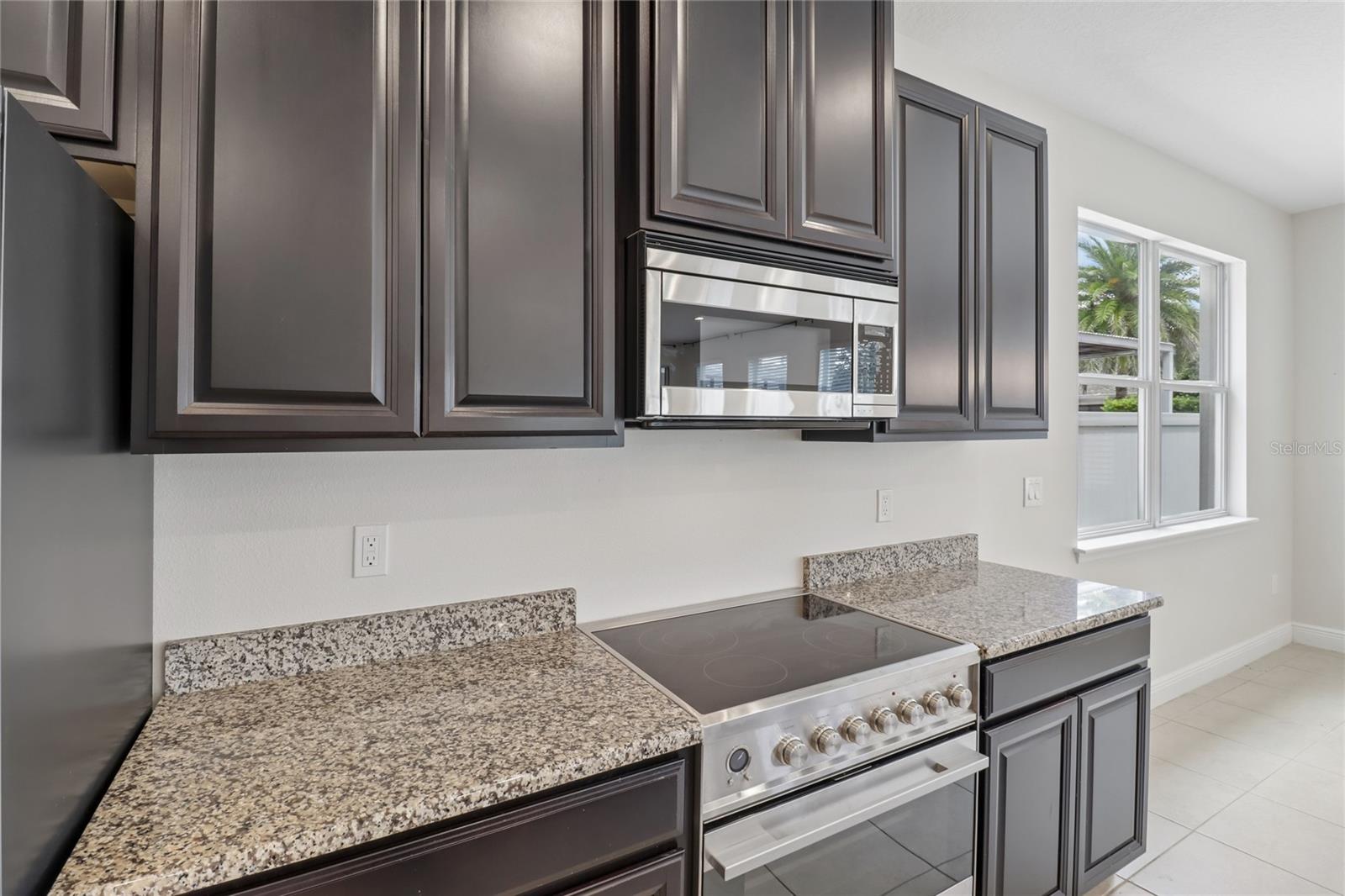 4309 SALTMARSH SPARROW DR, WINDERMERE, FL — photo 14