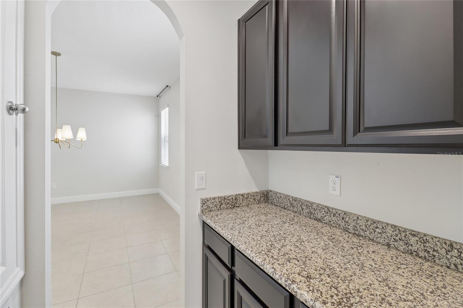 4309 SALTMARSH SPARROW DR, WINDERMERE, FL — photo 34