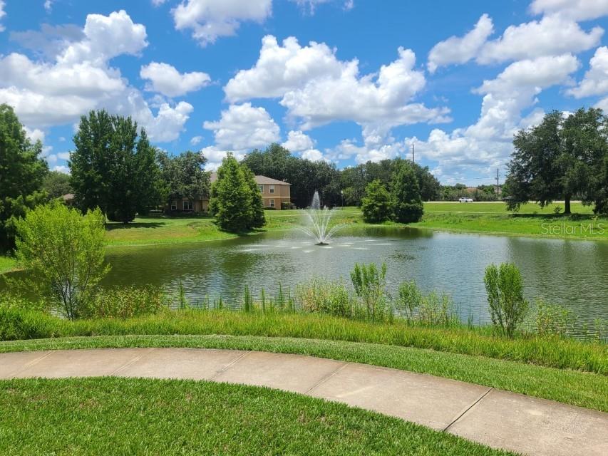 36009 DEER CREEK DR #104, ZEPHYRHILLS, FL — photo 21