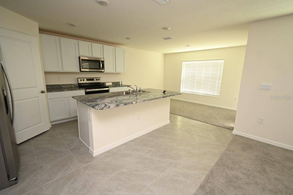 36698 SPANISH ROSE DR, DADE CITY, FL — photo 6