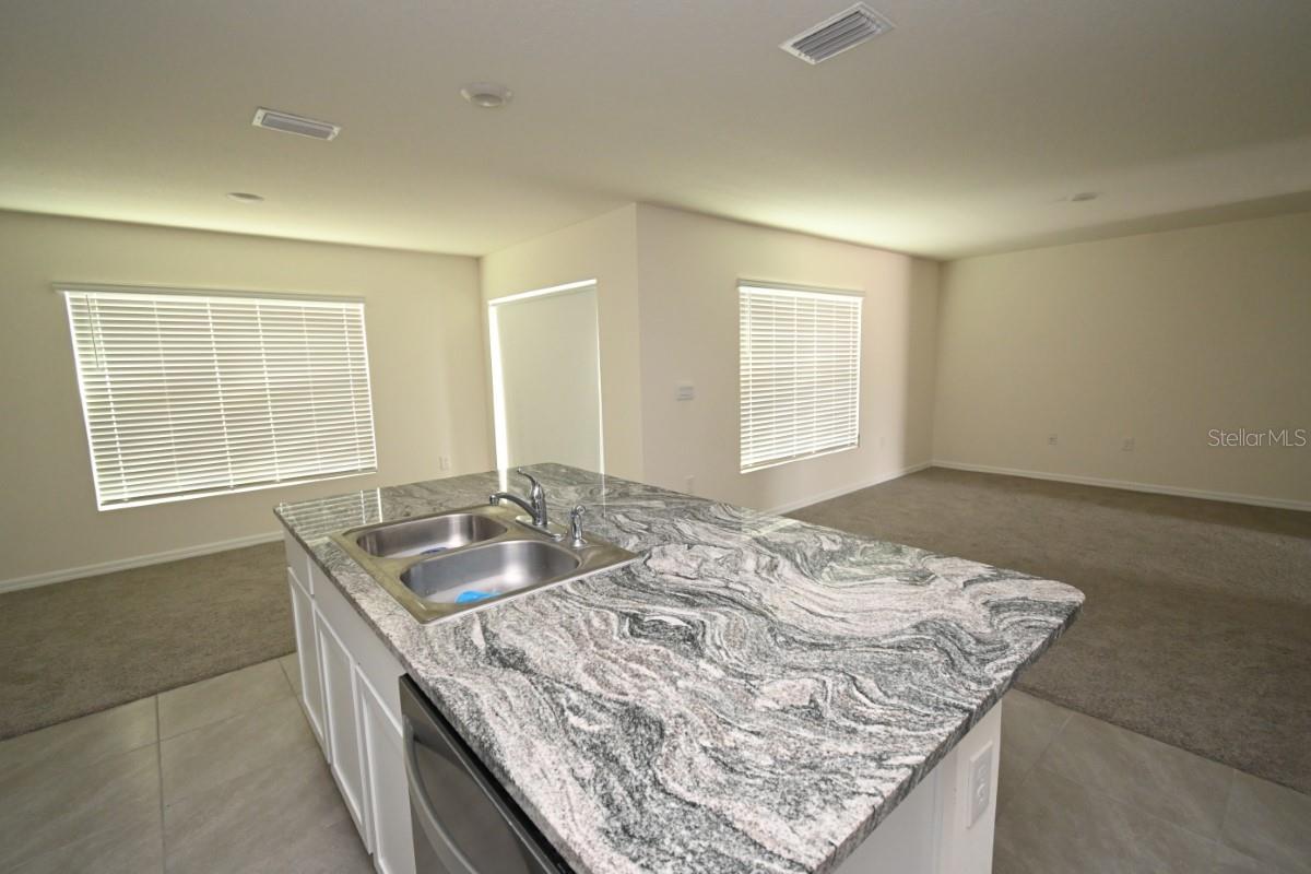 36698 SPANISH ROSE DR, DADE CITY, FL — photo 8