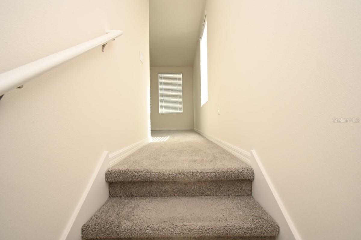 36698 SPANISH ROSE DR, DADE CITY, FL — photo 9