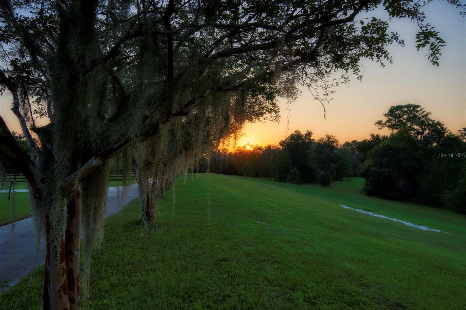 7650 N WHIPPOORWILL TER, HERNANDO, FL — photo 91
