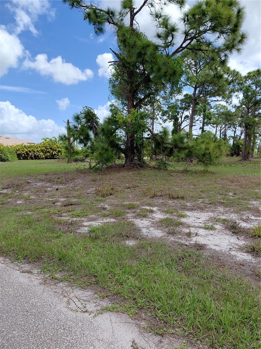80 COXSWAIN CIR, PLACIDA, FL — photo 7