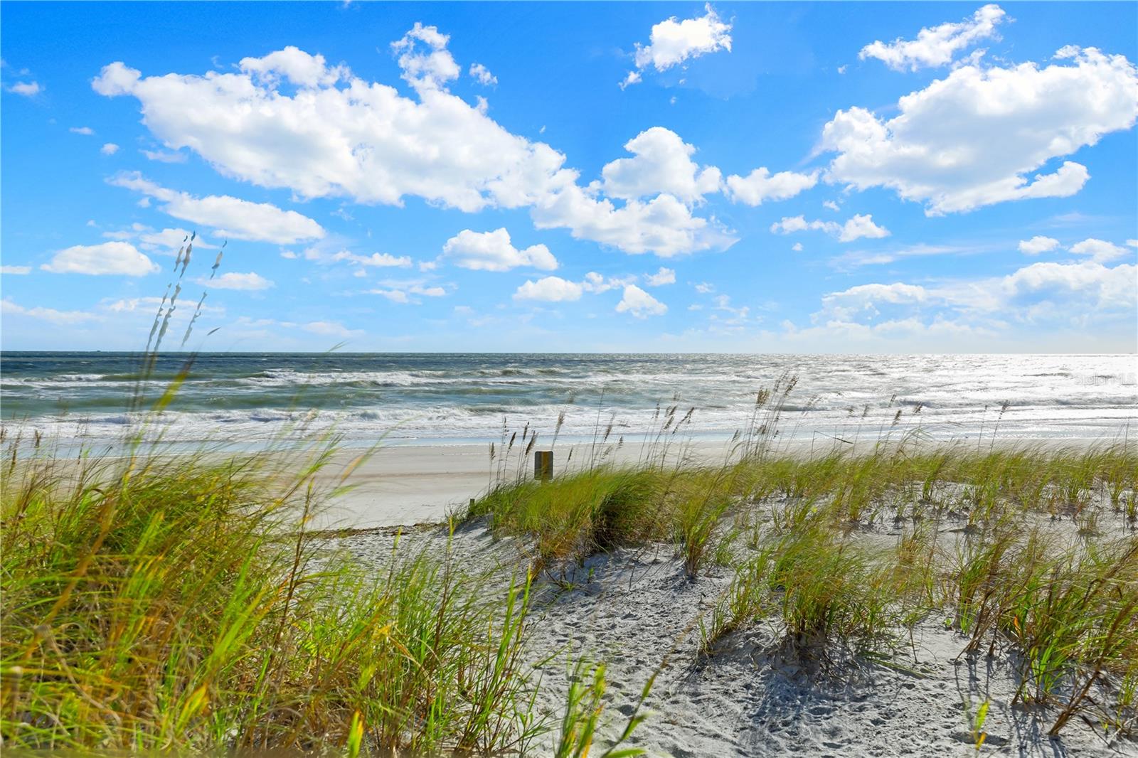 110 OCEAN HOLLOW LN #101, ST AUGUSTINE, FL — photo 3
