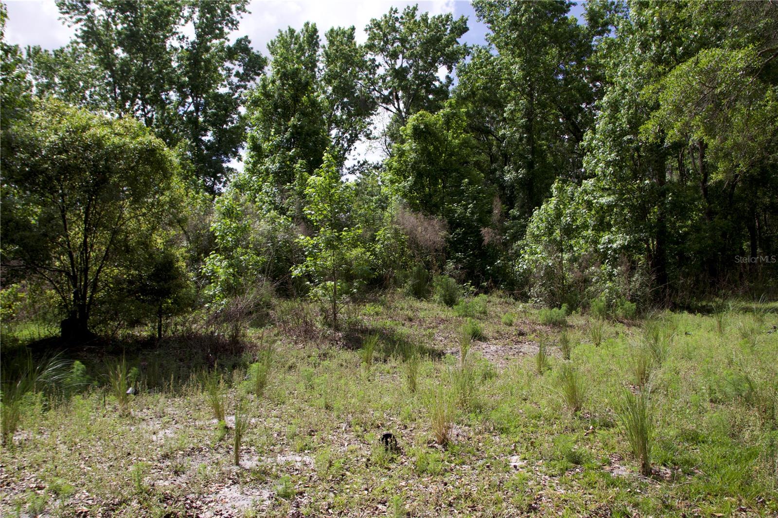 1920 10TH ST, ORLANDO, FL — photo 13