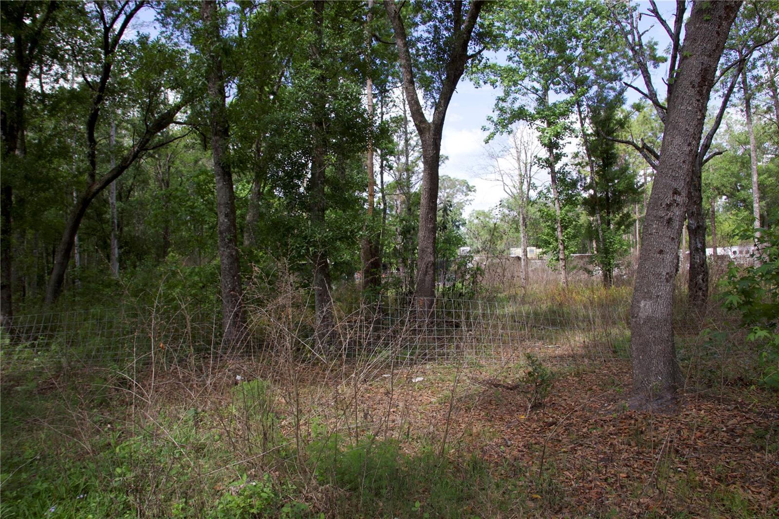 1920 10TH ST, ORLANDO, FL — photo 14