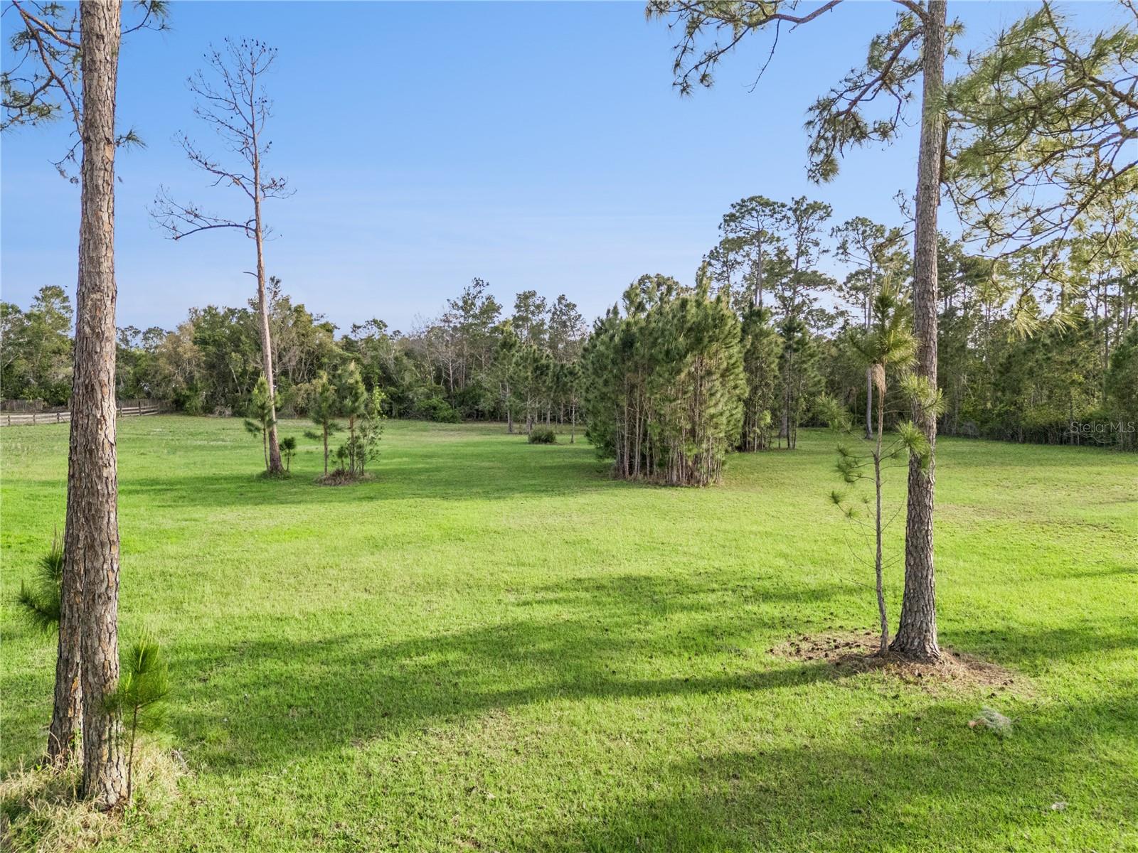 110 WILD HORSE RUN, DELTONA, FL — photo 4