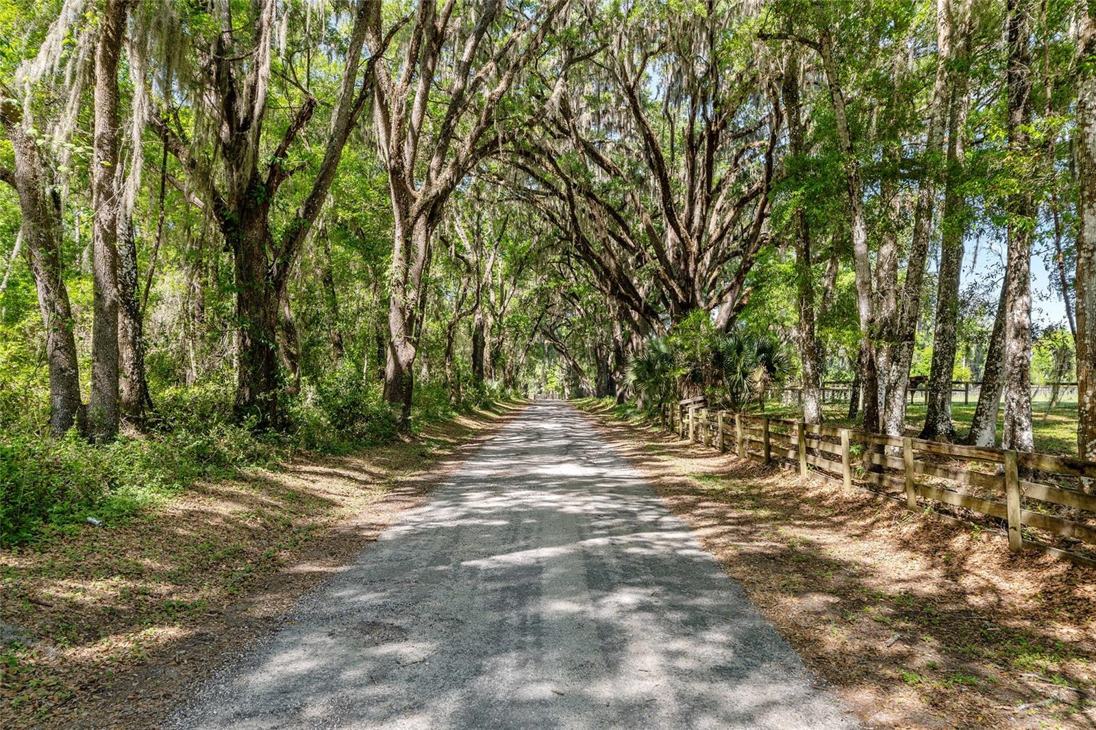 6405 NW 165TH ST, REDDICK, FL