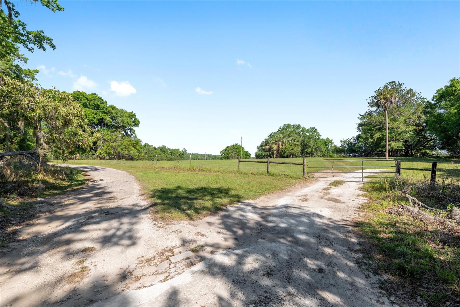 6405 NW 165TH ST, REDDICK, FL — photo 4