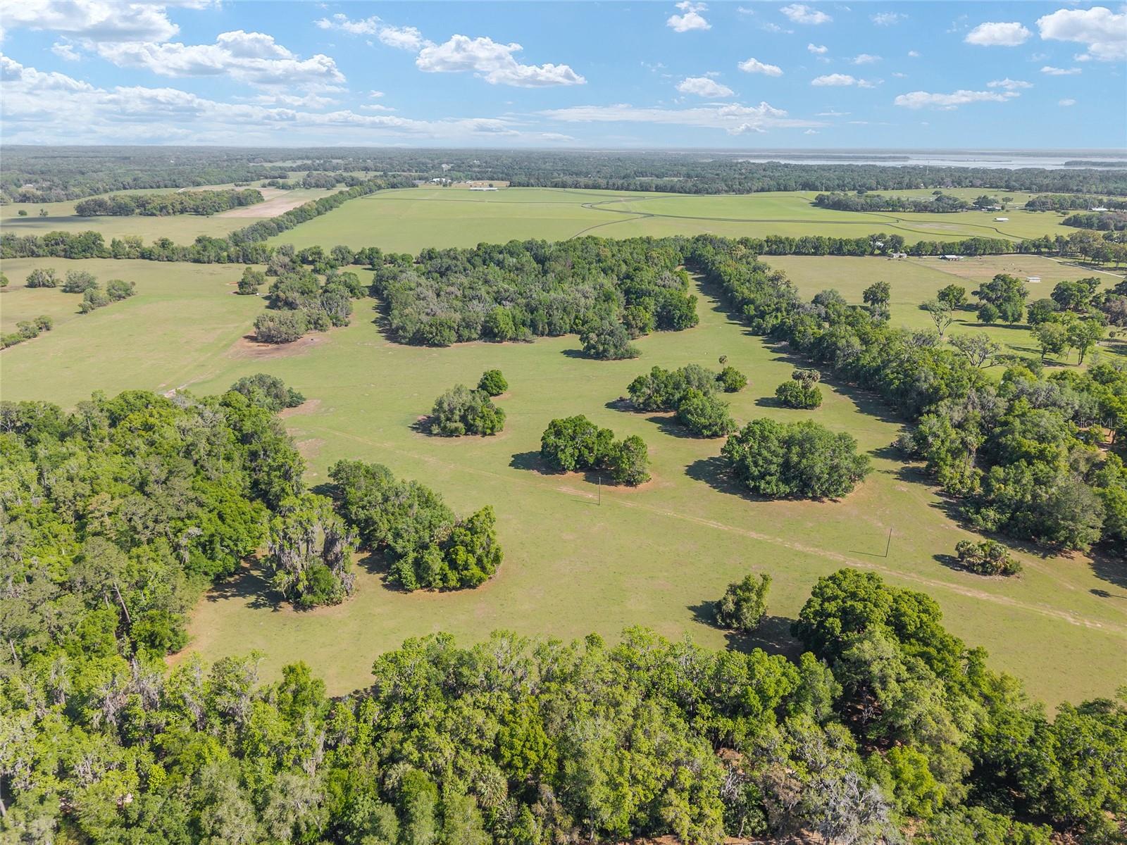 6405 NW 165TH ST, REDDICK, FL — photo 8
