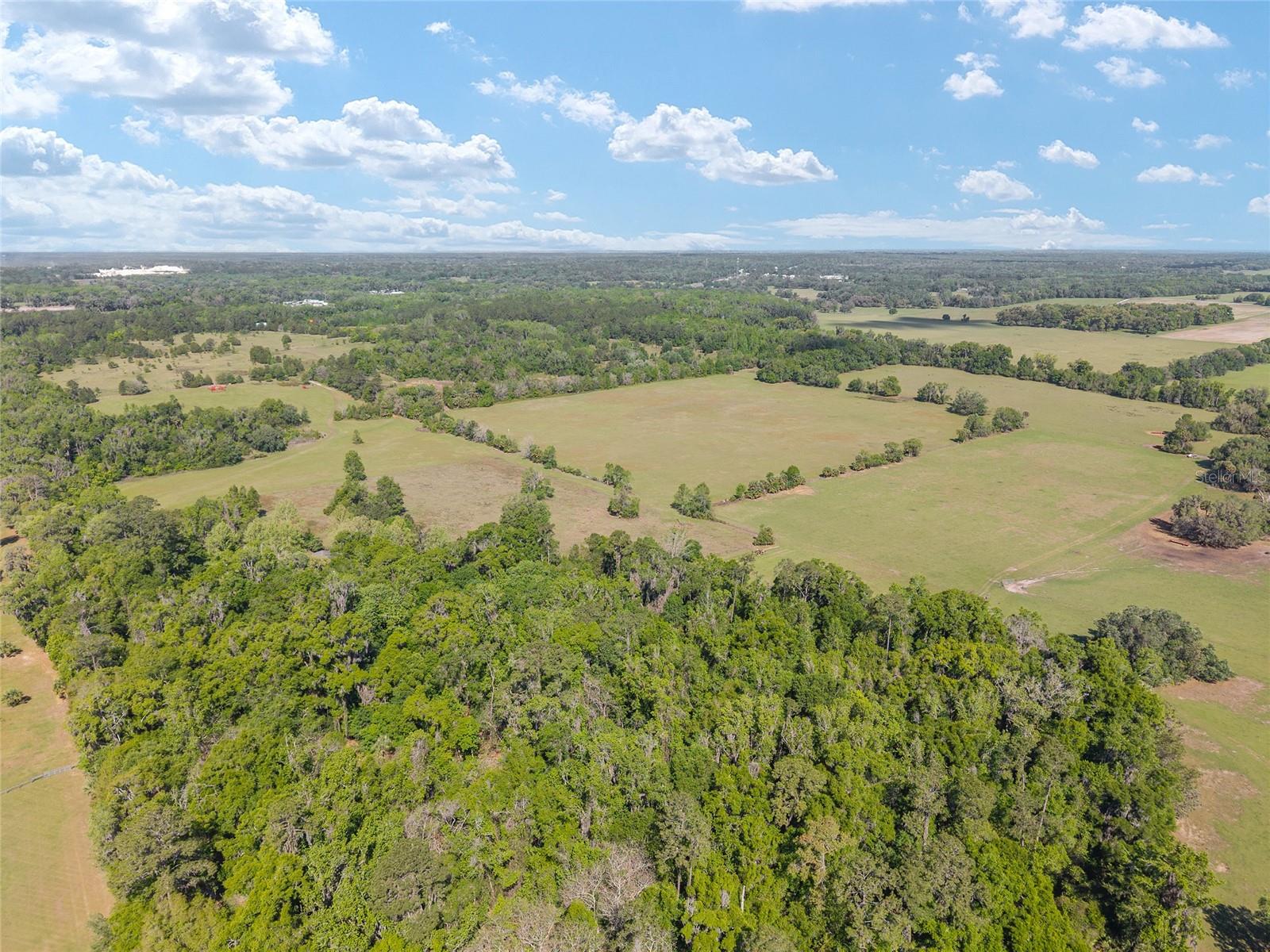 6405 NW 165TH ST, REDDICK, FL — photo 9