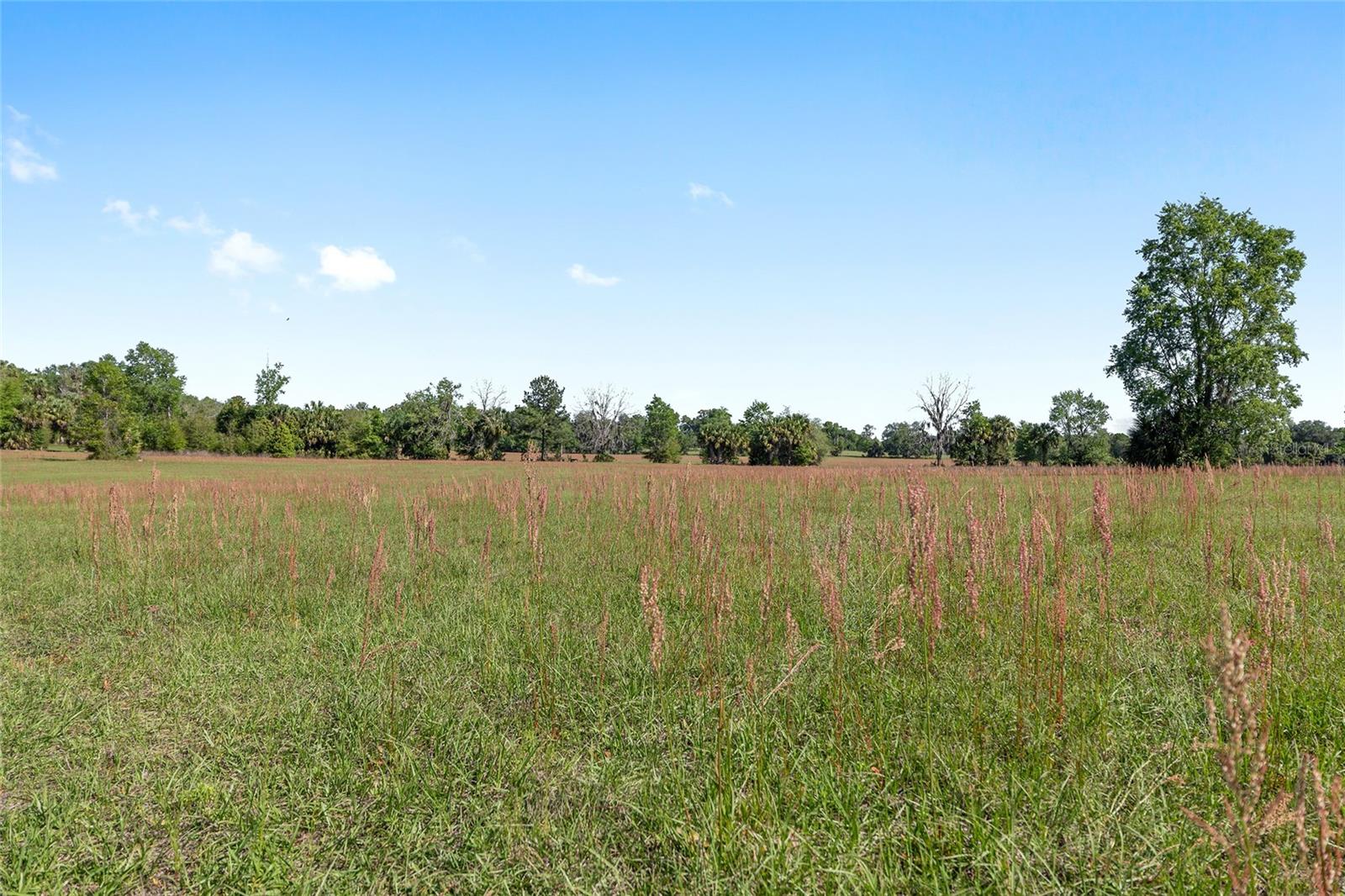 6405 NW 165TH ST, REDDICK, FL — photo 11