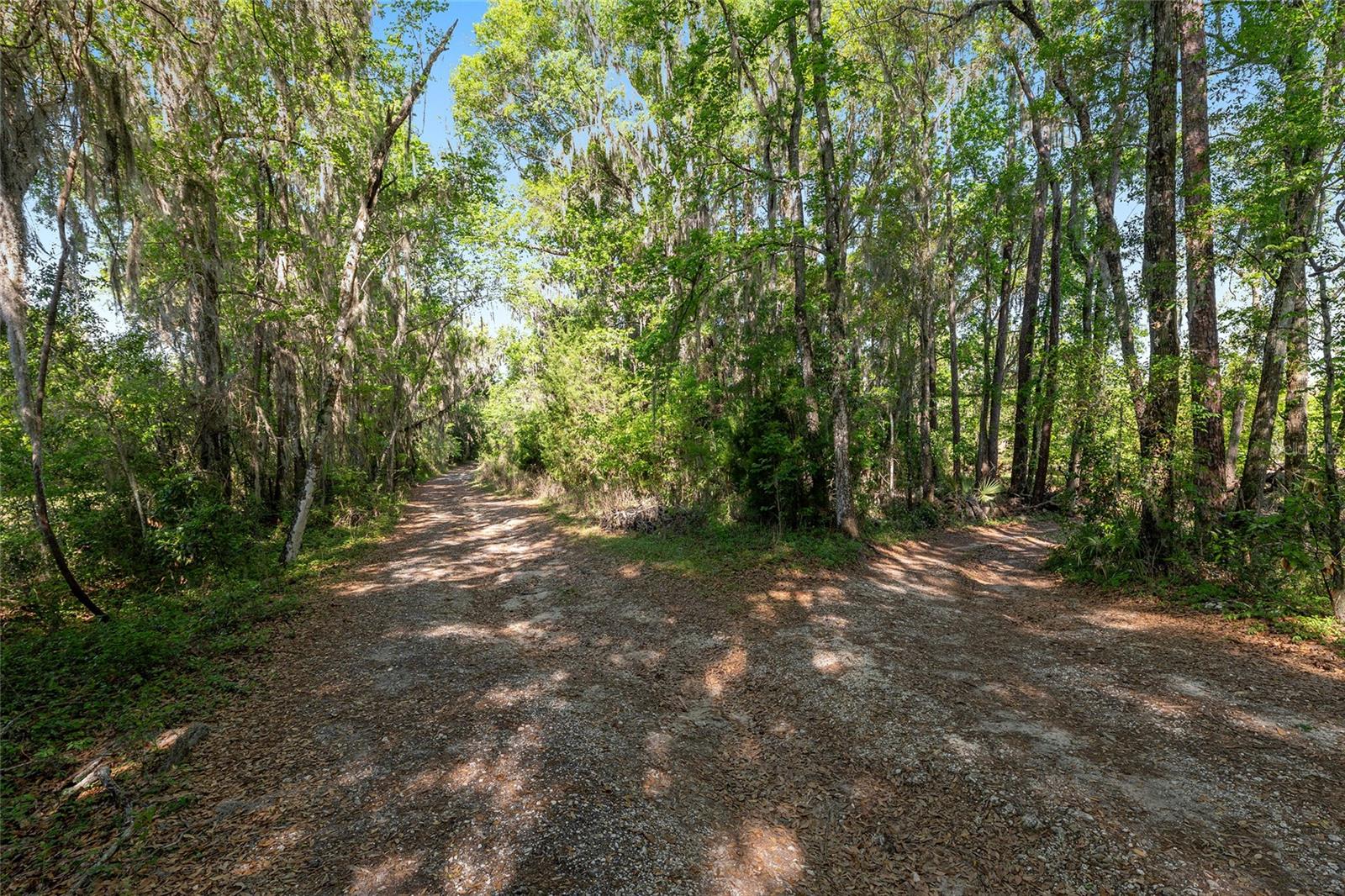 6405 NW 165TH ST, REDDICK, FL — photo 12