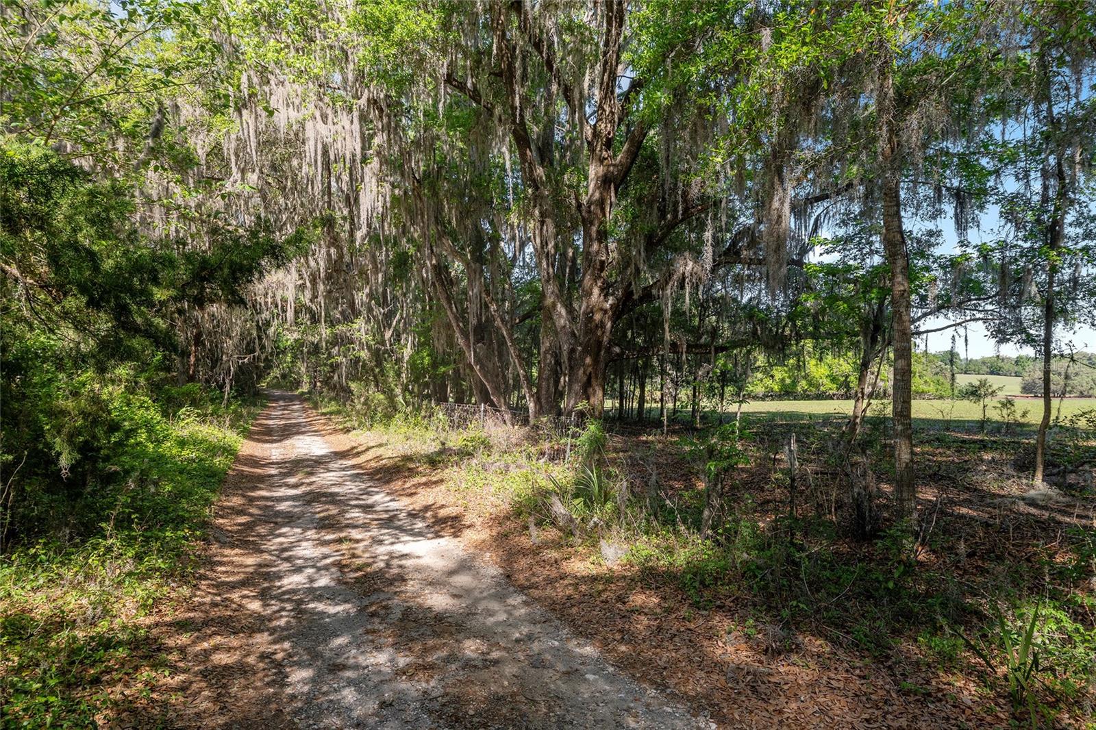 6405 NW 165TH ST, REDDICK, FL — photo 13