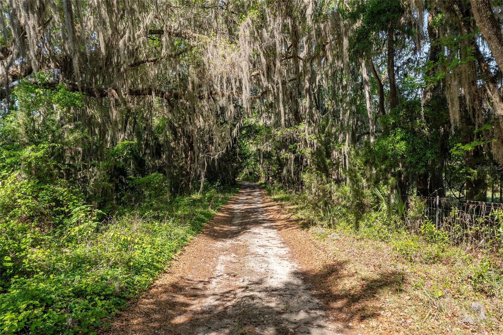 6405 NW 165TH ST, REDDICK, FL — photo 14