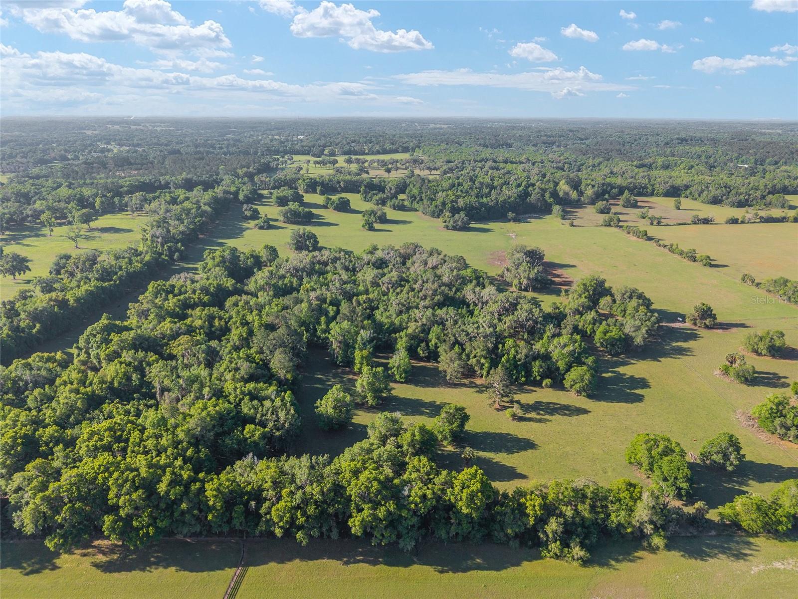 6405 NW 165TH ST, REDDICK, FL — photo 15