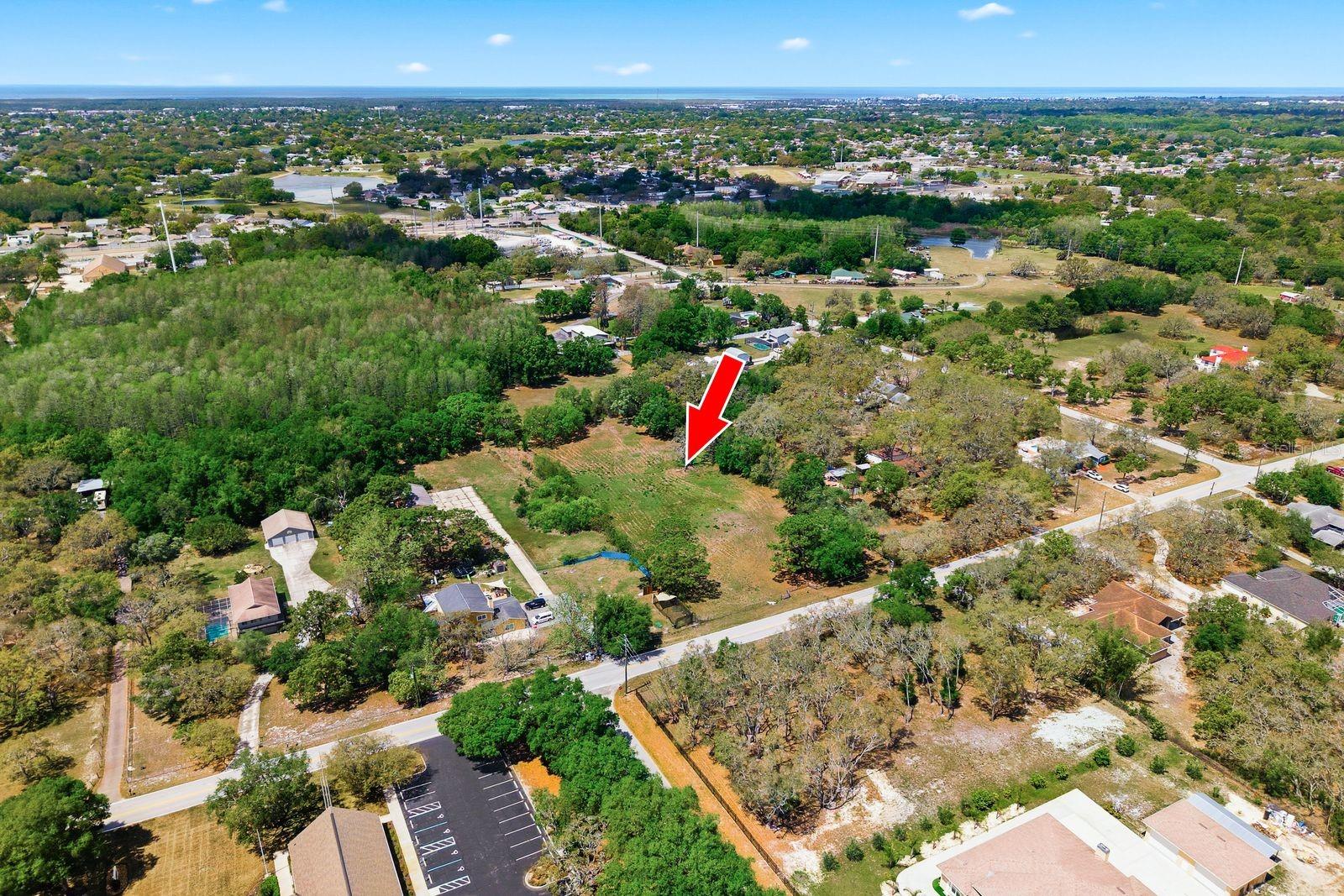10675 HILLTOP DR, NEW PORT RICHEY, FL — photo 3