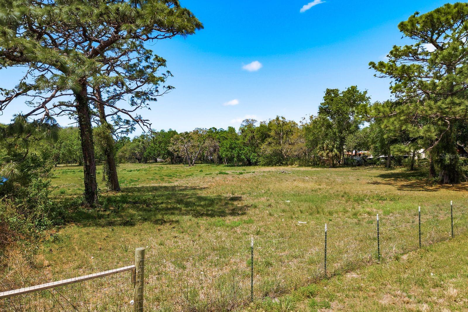 10675 HILLTOP DR, NEW PORT RICHEY, FL — photo 4